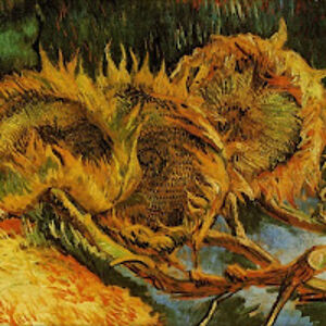 skipburroughs avatar