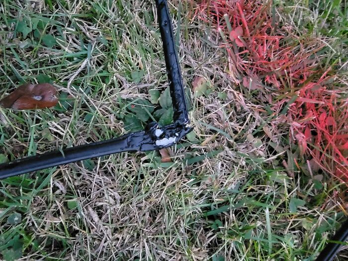 The Neighbor's New Fence Knocked Out Our Internet. Then Their Dog Ate The Replacement Line