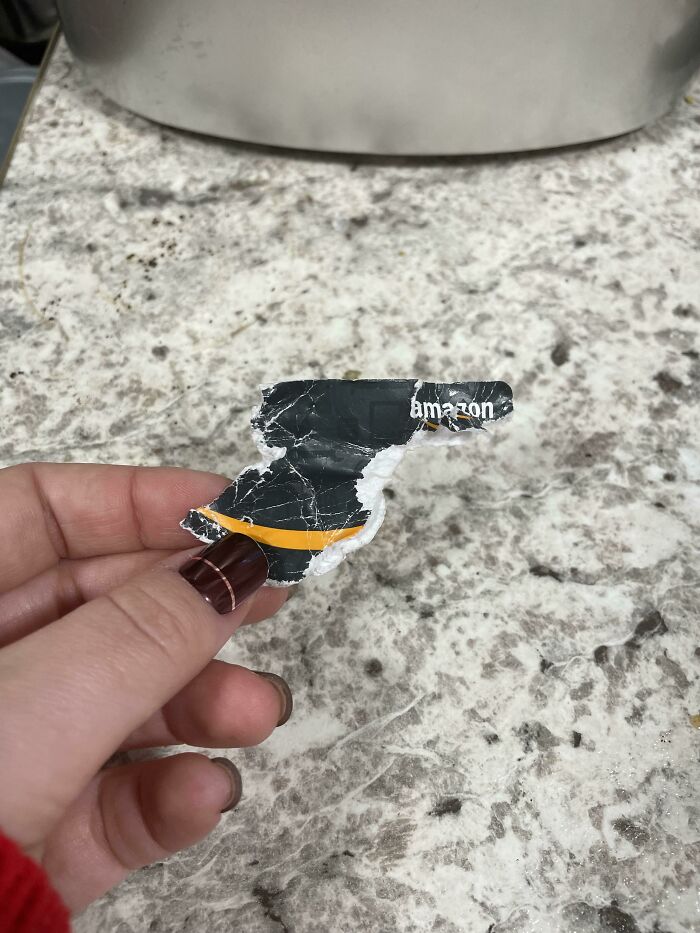 My Dog Thought This Unused $100 Amazon Gift Card Looked Like A Good Snack