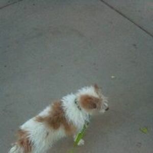 hatton_stacey avatar