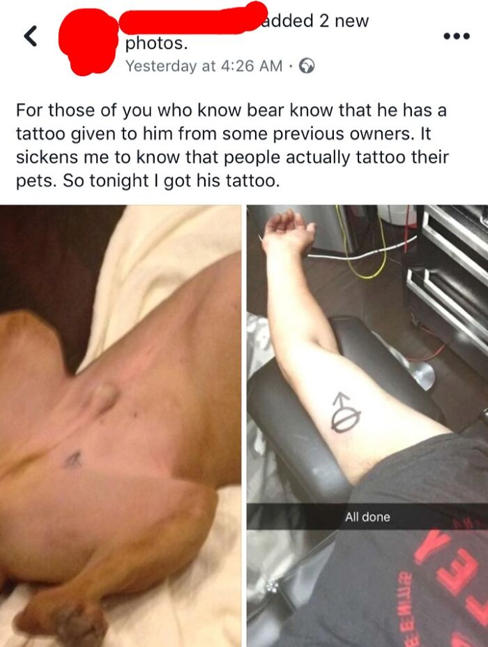 Guy From High School Got The Same Tattoo As His Dog