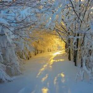 tonya_albright avatar