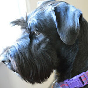 clarkeisackson avatar