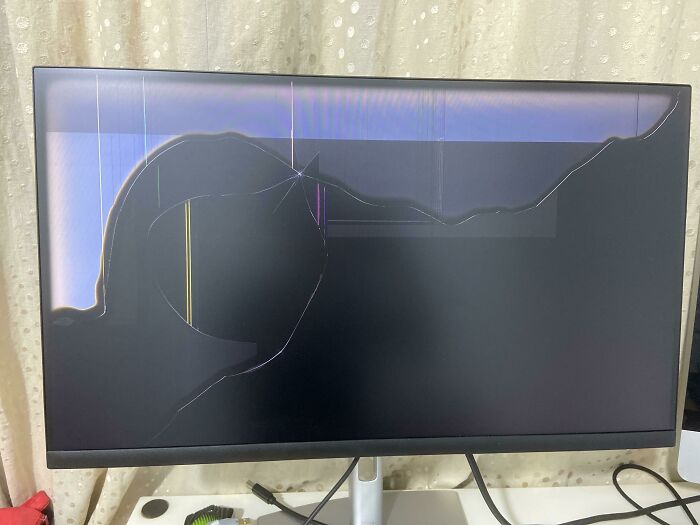 This Is What Happens When You Mix A $200 USD Monitor And A Bad-Tempered Little Brother