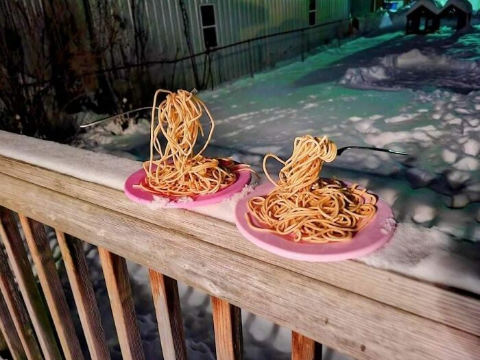 Frozen Spaghetti For Two In North Dakota