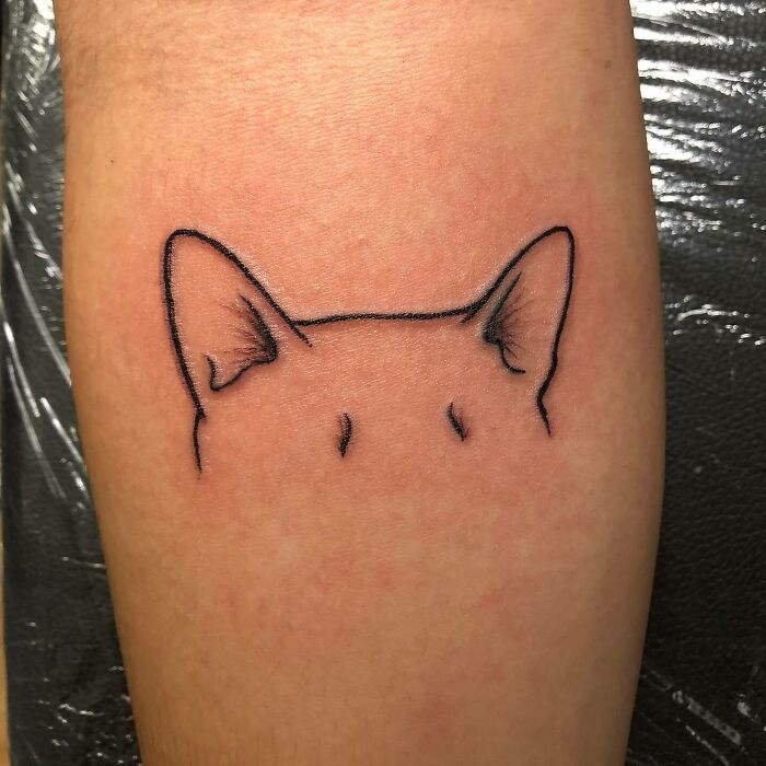  Cute Way To Remember Your Fur-Babe Forever!