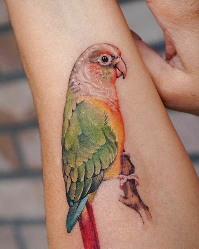 Parrot Tattoo 
