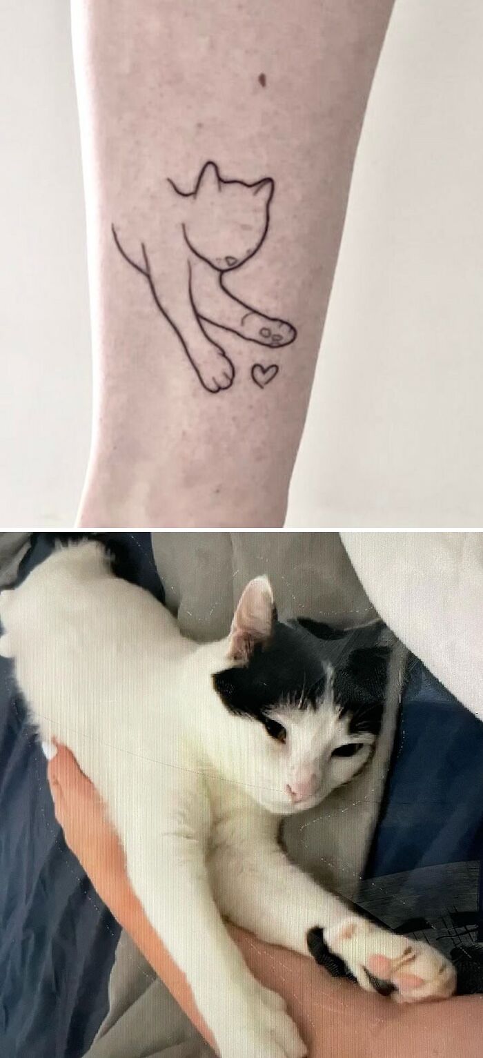 Lined cat playing with the heart tattoo 