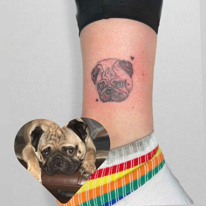 Pug's face tattoo 