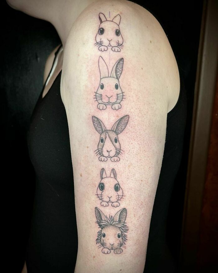 Really Cute Little Bunnies I Did! Top To Bottom: Frost, Emily, Norman, Bear And Carl