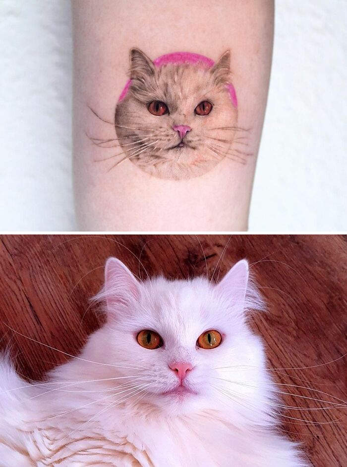 cat with pink nose tattoo