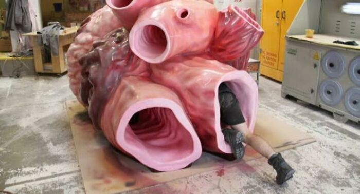 The Blue Whales Heart Is So Big That A Human Can Fit Into It's Arteries (The Image Is A Replica Of It, Not An Actual Heart)