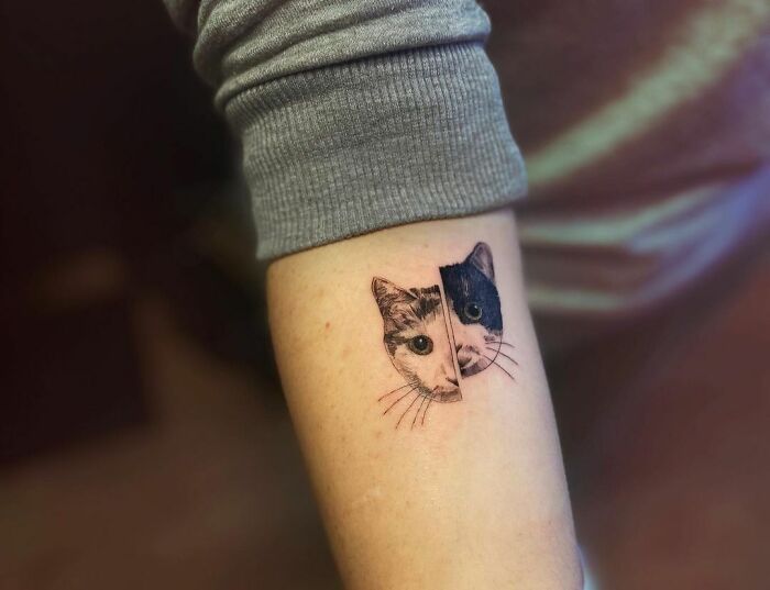 Cats faces tattoo 
