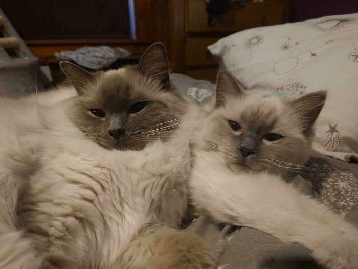 Mabel And Maude Say Good Morning!