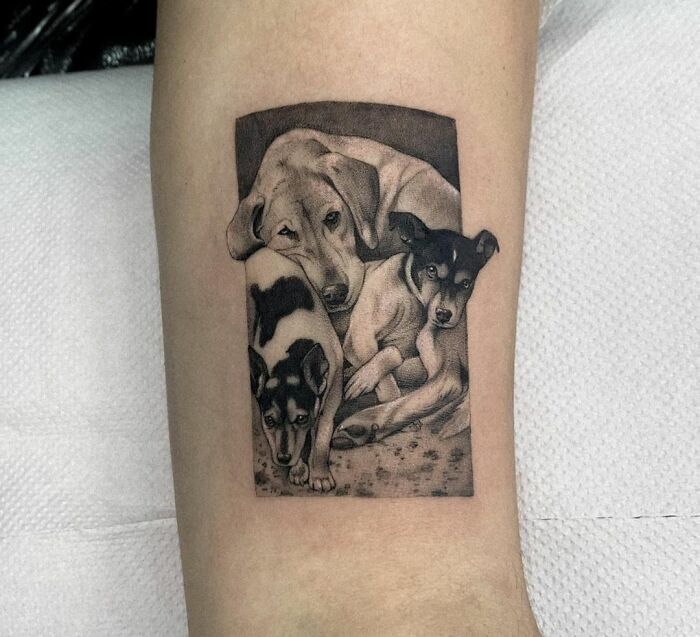 Three dogs lying next to each other tattoo 