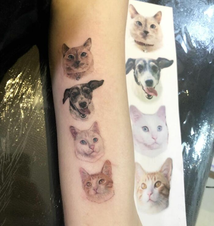 Pets faces arm tattoo