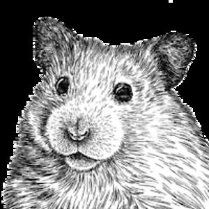 gisellekurbatova avatar