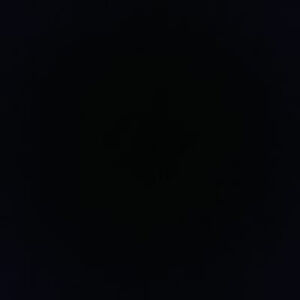 angeliqueisaacs avatar