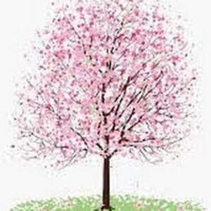 jenniferhalbrooks avatar