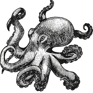october_octopus