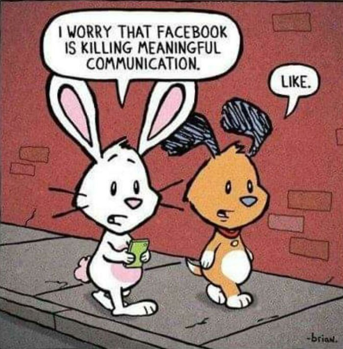 Commentary On Facebook, In Facebook
