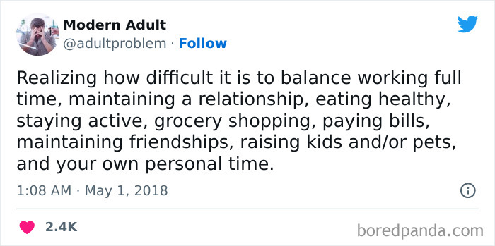 Modern-Adult-Struggles-Adultproblem