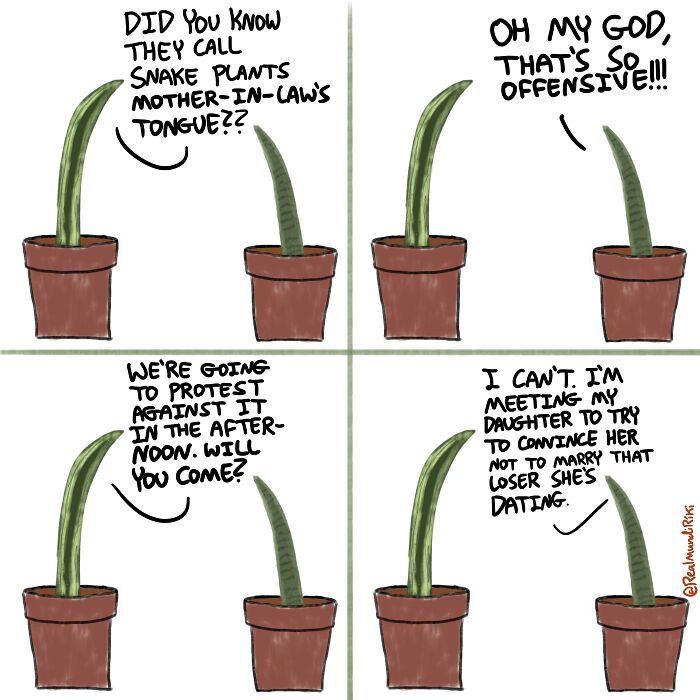 I Made 7 Comics About Living With Plants And I Wanted To Share Them With You I Made 7 Comics About Living With Plants And I Wanted To Share Them With You