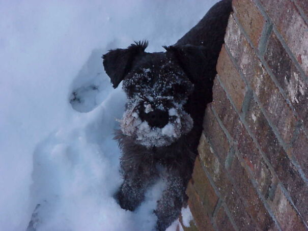 I'm Not Coming Back Inside, Grrrretchen Loves Her Snow!