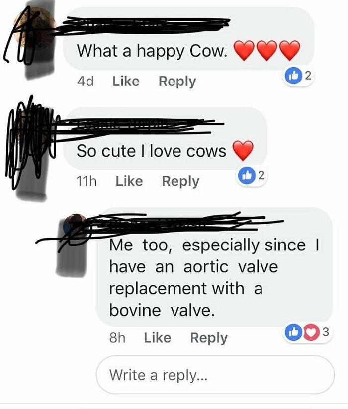 What A Happy Cow