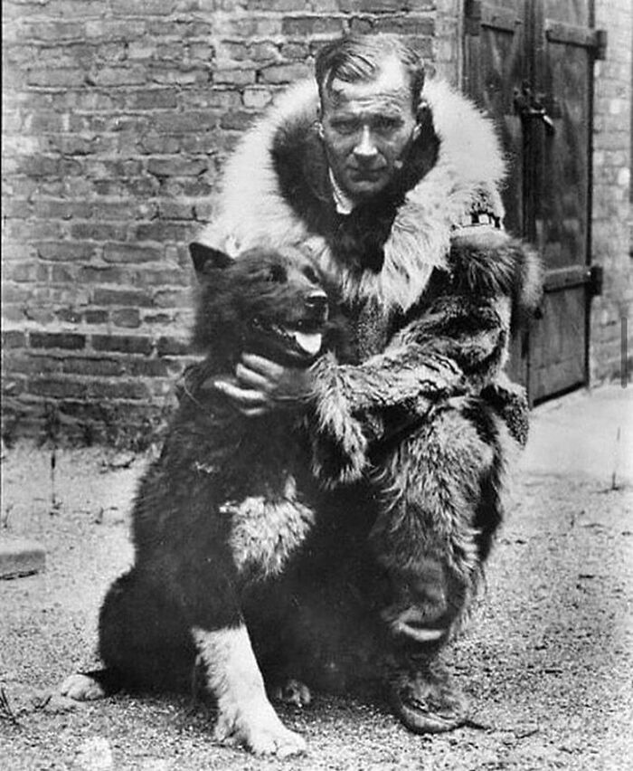 Pictured Above Is Gunnar Kaasen. He And His Team Of 13 Dogs, LED By The Siberian Husky, Balto, Completed The Last Leg Of A 1925 Trip To Deliver 300,000 Units Of Diphtheria Antitoxin To Nome, Alaska