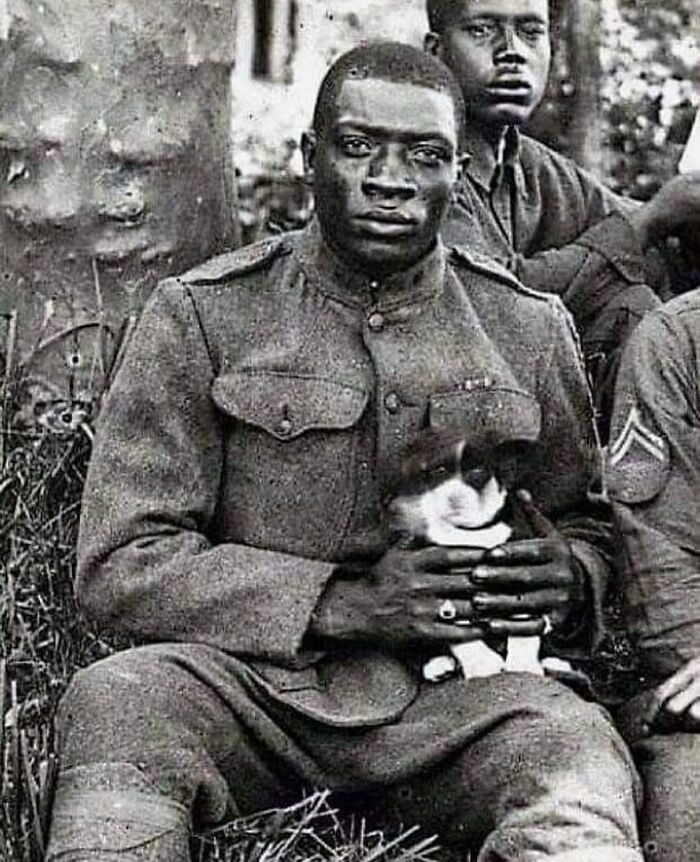 A Member Of The Harlem Hellfighters (369th Infantry Regiment) Poses For The Camera While Holding A Puppy He Saved During World War I, 1918