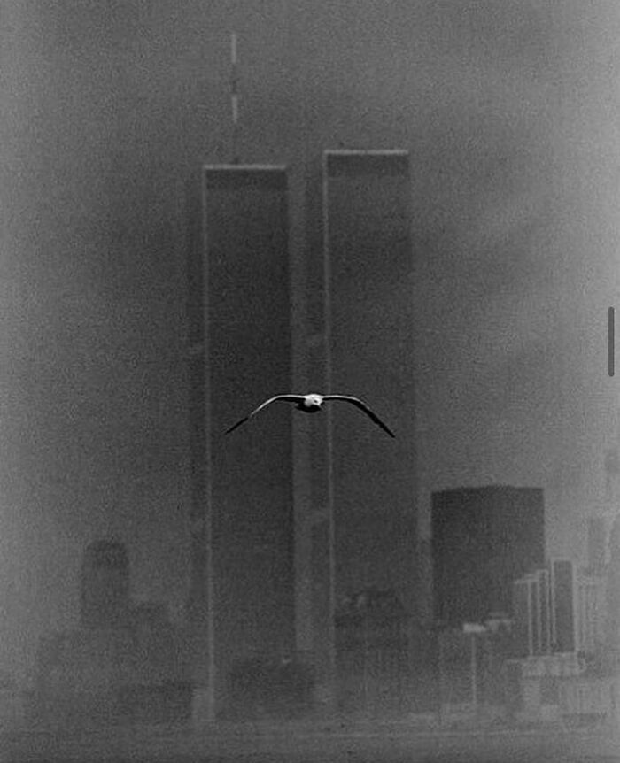 The Twin Towers In 1979. Photographed By @louisstettnerestatethe Twin Towers In 1979. Photographed By @louisstettnerestatethe Twin Towers In 1979. Photographed By @louisstettnerestatethe Twin Towers In 1979. Photographed By @louisstettnerestate