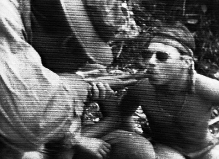 During The Vietnam War, Cannabis Was Consumed Because The Plant Grew In The Wild In Vietnam