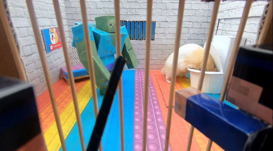 I Made A Prison Maze From Pop-It Toys For My Hamster To Escape I Made A Prison Maze From Pop-It Toys For My Hamster To Escape