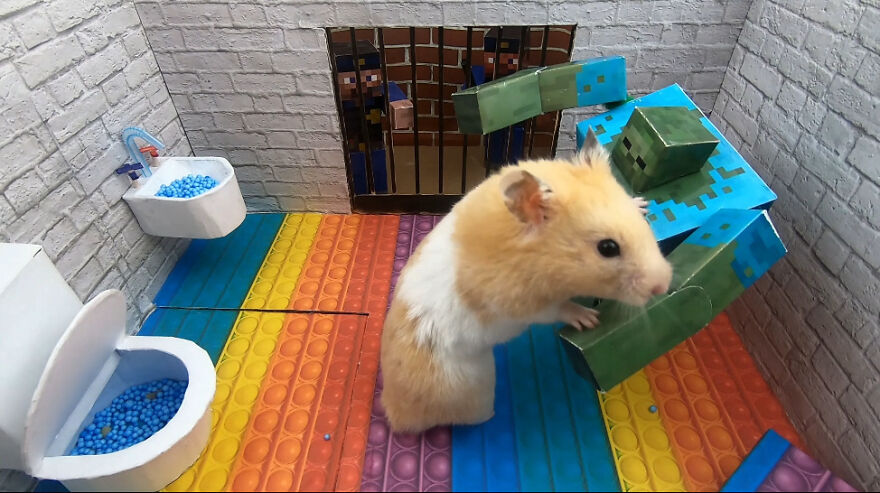 I Made A Prison Maze From Pop-It Toys For My Hamster To Escape