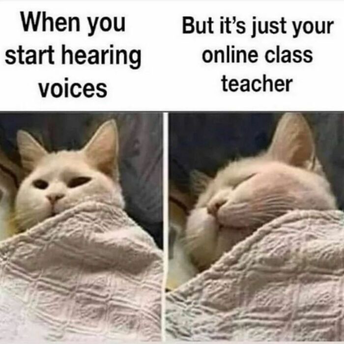 Funny-Antisocial-Memes-Jokes