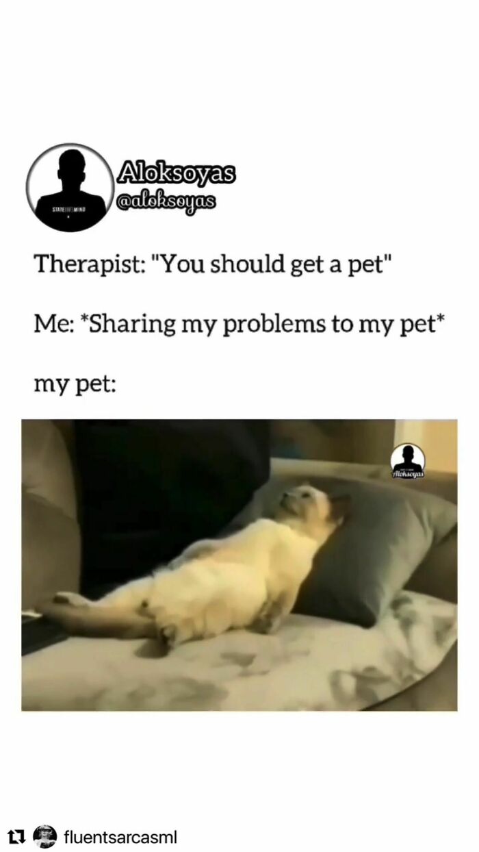 Funny-Antisocial-Memes-Jokes