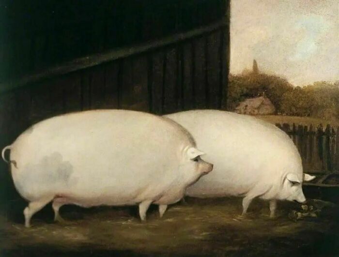 In 19th Century England, Wealthy Farmers Would Commission Paintings Of Their Cows, Pigs And Sheep As A Way To Flex Their Wealth And Status