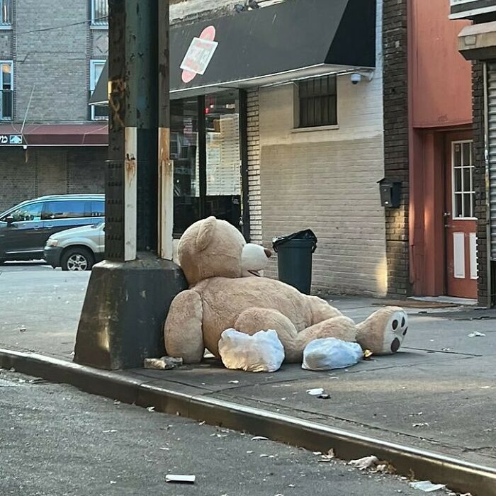 Must Have Been Stoop Bears’ High School Reunion After Dinner Last Night