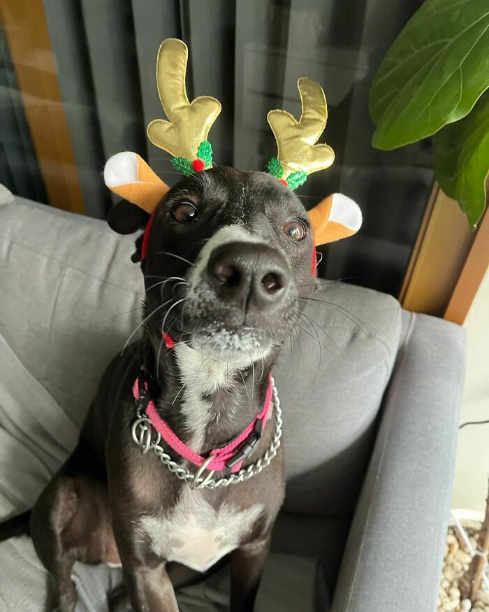 Hurry Up Santa I’ve Been A Very Good Girl