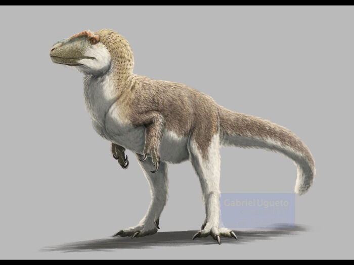 Yutyrannus The Biggest Feathered Dinosaur Currently Known