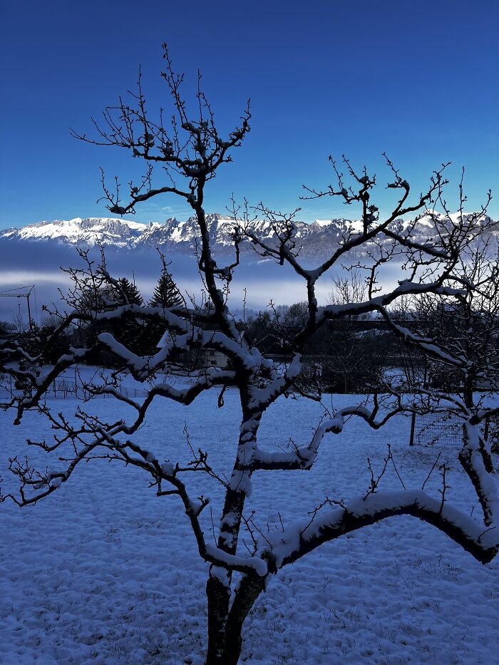 First Day Of Winter In 2022 In Vorarlberg, Austria