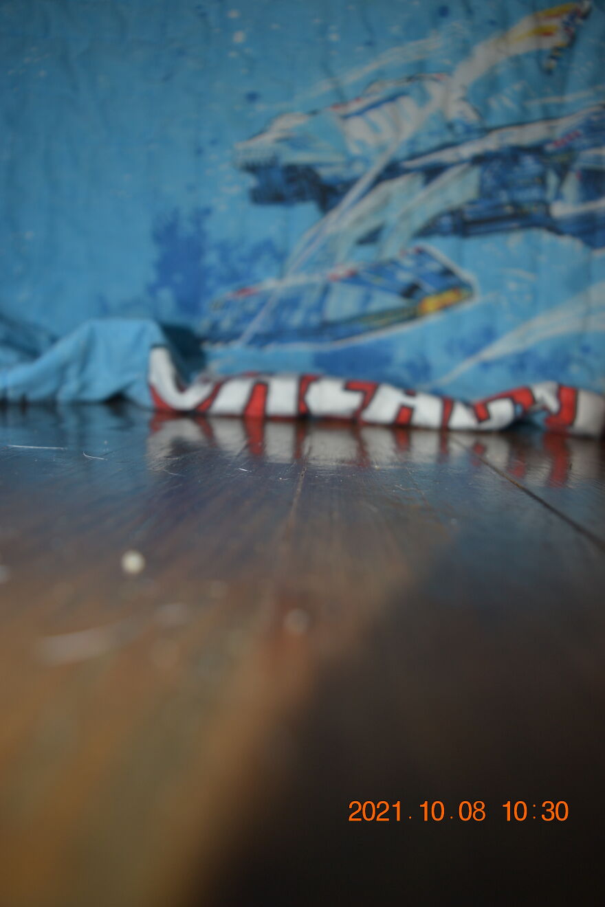 I Recently Located My Camera Pictures, Which Are All Of My Dog, To My Computer And Deiced To Share With The Internet