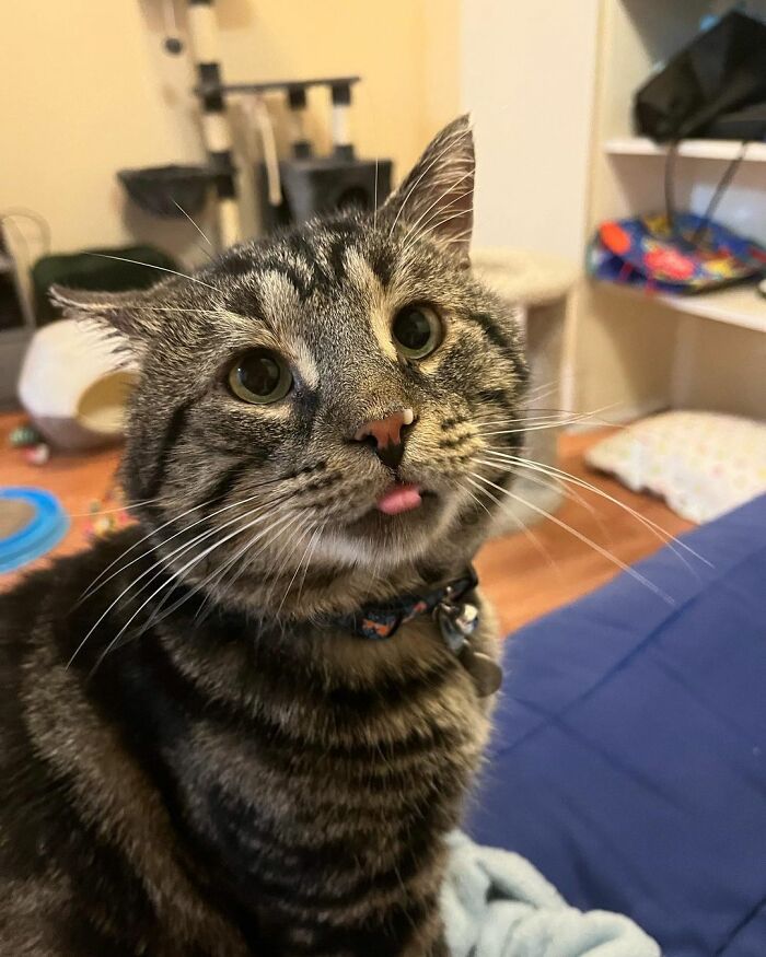 After Going Viral On Twitter, Fishtopher Has Recently Been Adopted And Is Off To Live A Happy Life After Going Viral On Twitter, Fishtopher Has Recently Been Adopted And Is Off To Live A Happy Life