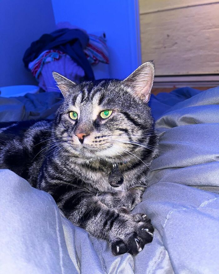 After Going Viral On Twitter, Fishtopher Has Recently Been Adopted And Is Off To Live A Happy Life After Going Viral On Twitter, Fishtopher Has Recently Been Adopted And Is Off To Live A Happy Life