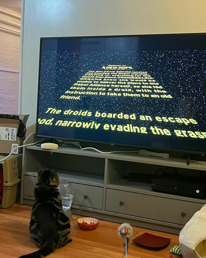 After Going Viral On Twitter, Fishtopher Has Recently Been Adopted And Is Off To Live A Happy Life After Going Viral On Twitter, Fishtopher Has Recently Been Adopted And Is Off To Live A Happy Life