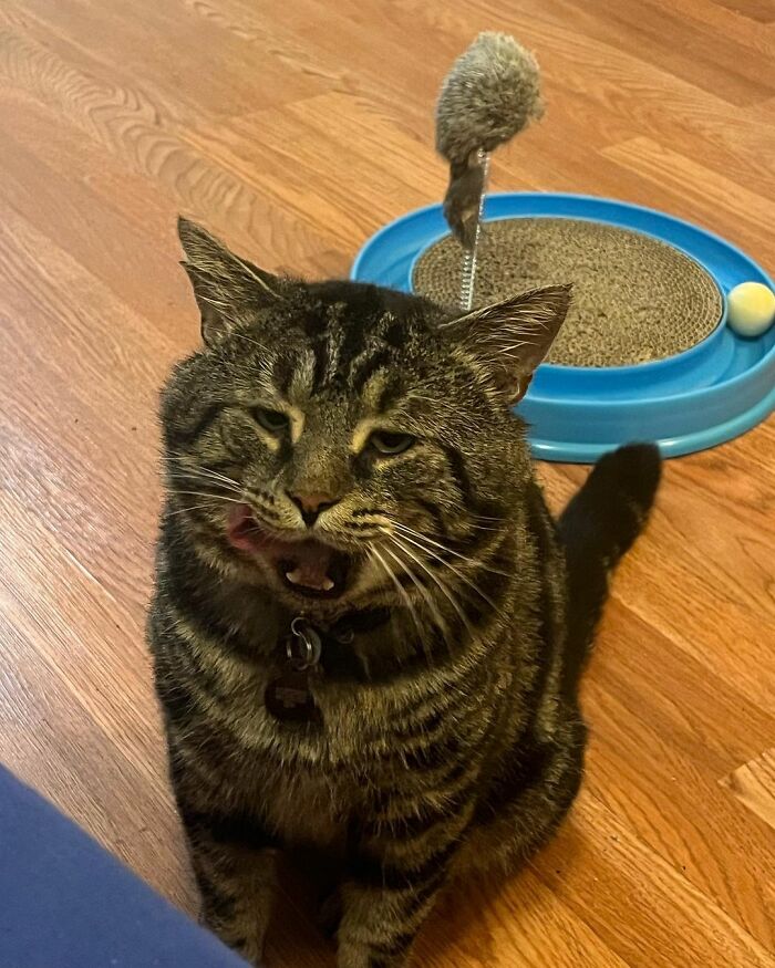 After Going Viral On Twitter, Fishtopher Has Recently Been Adopted And Is Off To Live A Happy Life After Going Viral On Twitter, Fishtopher Has Recently Been Adopted And Is Off To Live A Happy Life