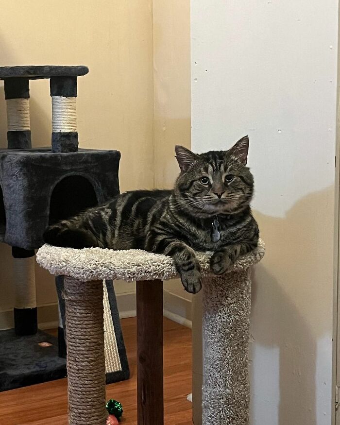 After Going Viral On Twitter, Fishtopher Has Recently Been Adopted And Is Off To Live A Happy Life After Going Viral On Twitter, Fishtopher Has Recently Been Adopted And Is Off To Live A Happy Life