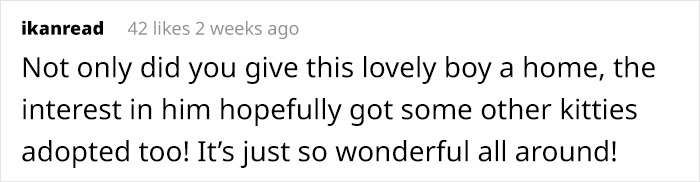 After Going Viral On Twitter, Fishtopher Has Recently Been Adopted And Is Off To Live A Happy Life After Going Viral On Twitter, Fishtopher Has Recently Been Adopted And Is Off To Live A Happy Life