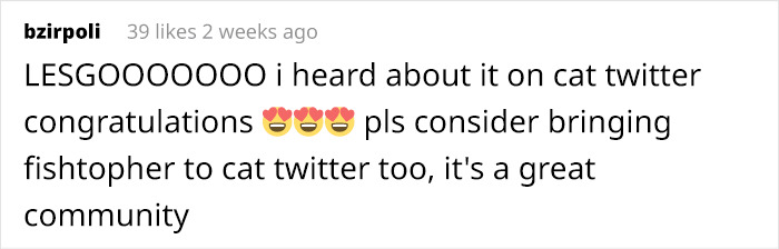 After Going Viral On Twitter, Fishtopher Has Recently Been Adopted And Is Off To Live A Happy Life After Going Viral On Twitter, Fishtopher Has Recently Been Adopted And Is Off To Live A Happy Life